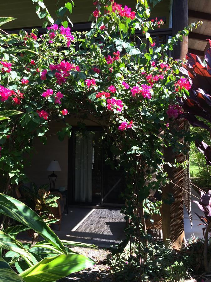 Hawaiian Oasis Bed & Breakfast Kailua-Kona Esterno foto